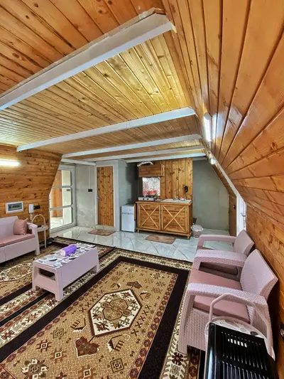 کلبه یک خوابه دوبلکس سوئیسی دل انگیز ونوشه