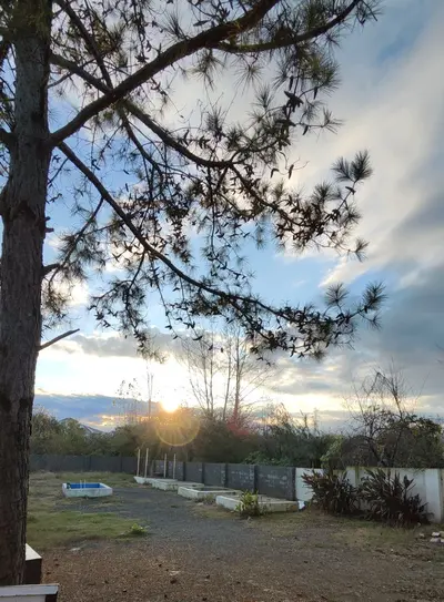 سوئیت دوخوابه ساحلی طلایی 3