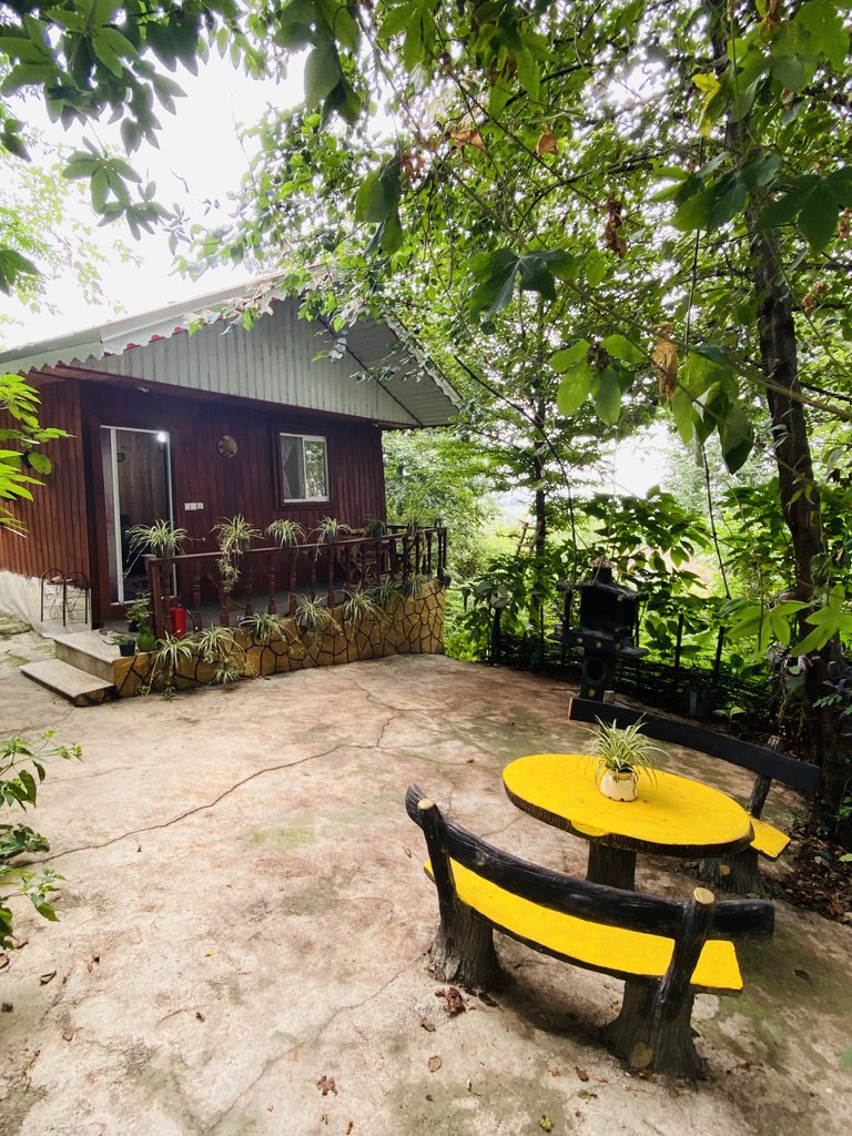 کلبه فلت دنیا 8