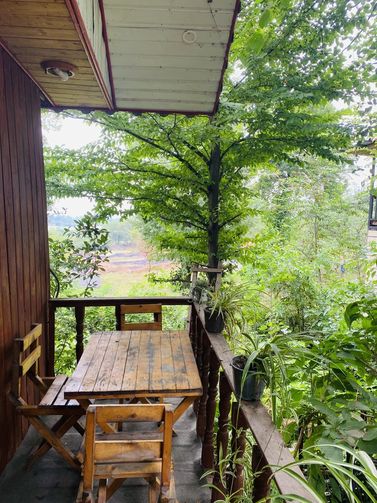 کلبه فلت دنیا 8