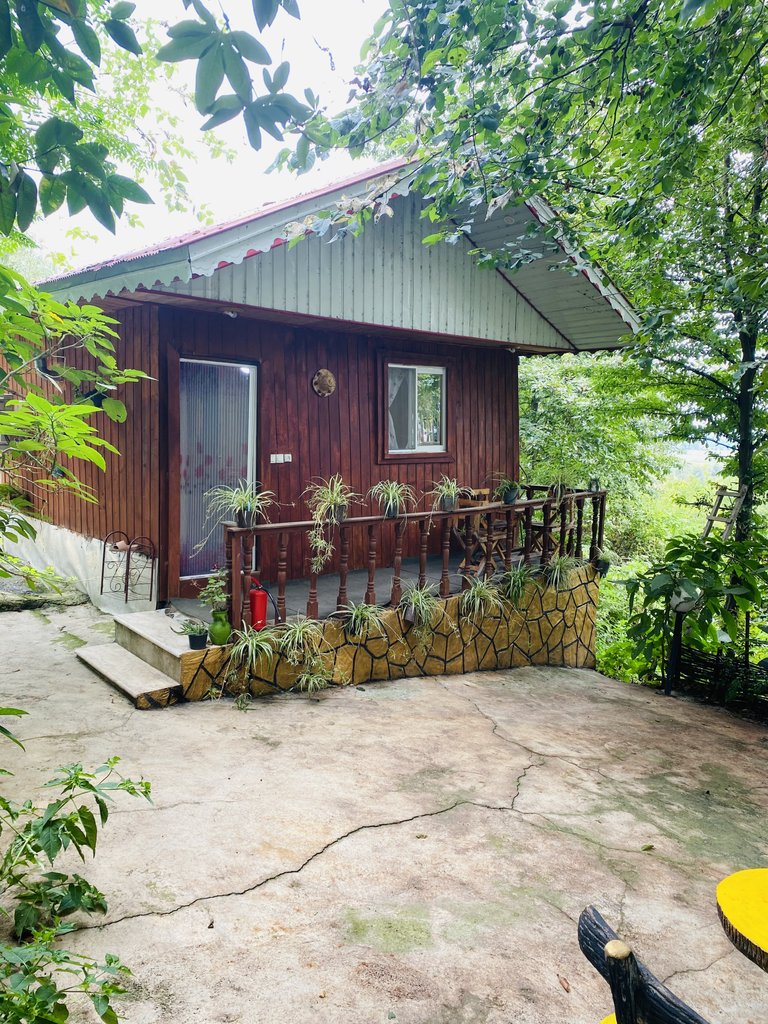 کلبه فلت دنیا 8