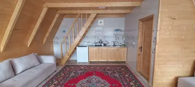 کلبه یک خوابه سوئیسی جکوزی دار آریا