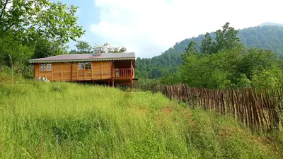 کلبه یک خوابه چوبی محمد