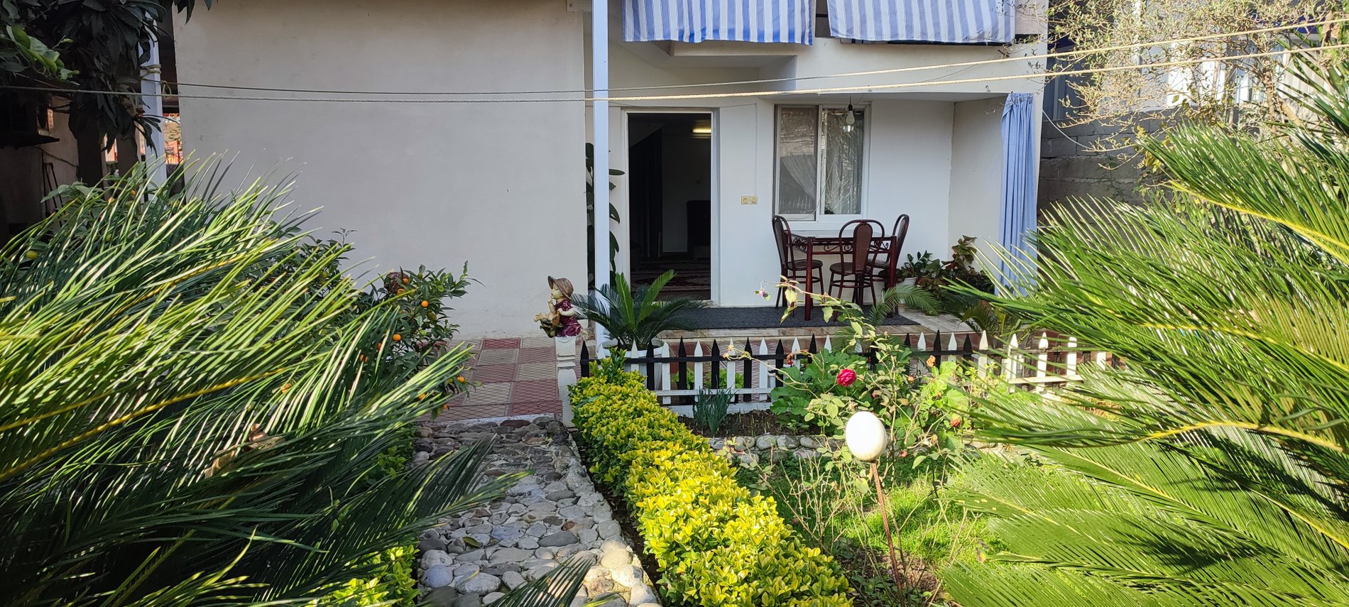 سوئیت یک خوابه شمشاد ماسال