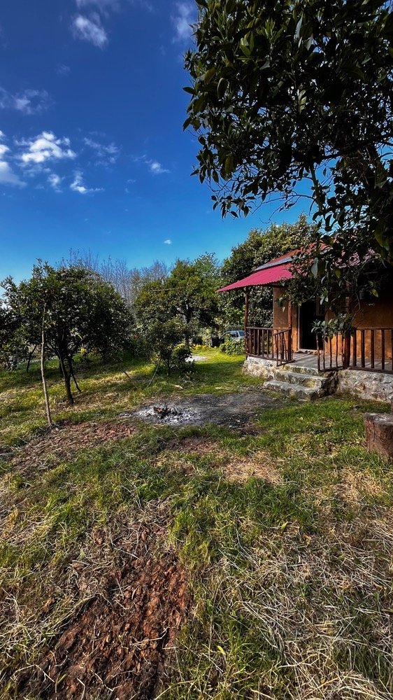 کلبه یک خوابه بالا تیکیش