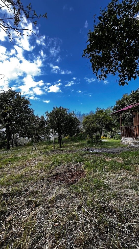 کلبه یک خوابه بالا تیکیش