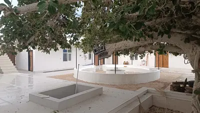 بومگردی لیر مغدان - شش تخته