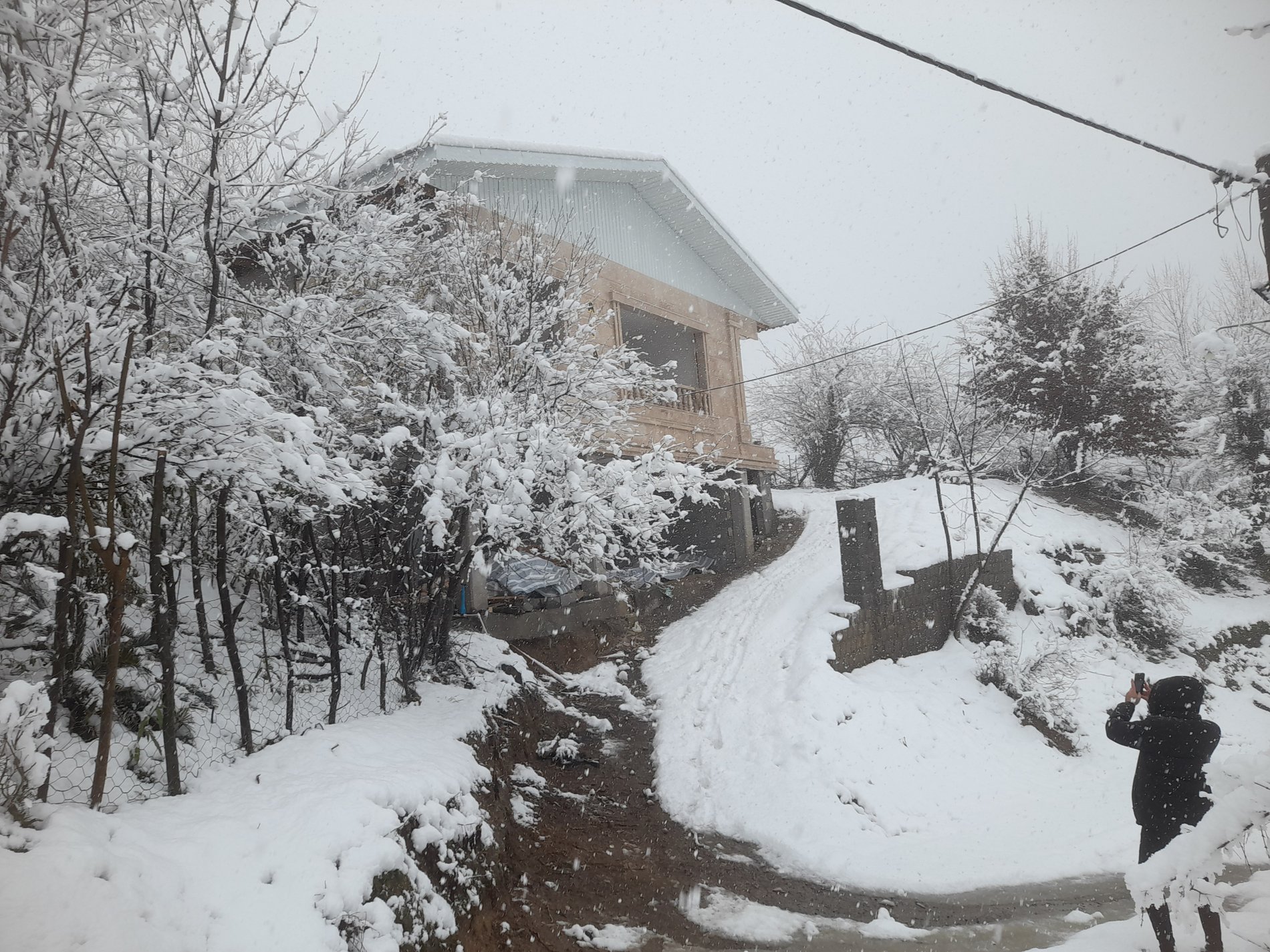 ویلا دوخوابه جنگلی آوا