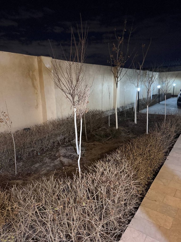 ویلا یک خوابه استخردار آبگرم نفیس 05