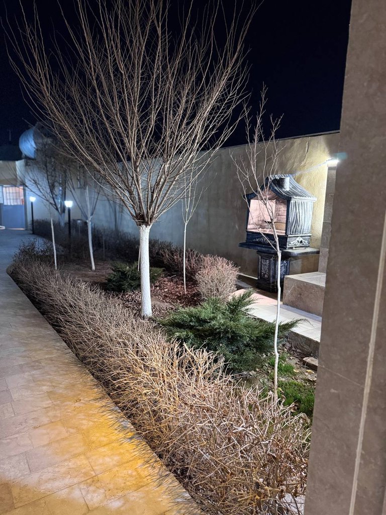 ویلا یک خوابه استخردار آبگرم نفیس 05