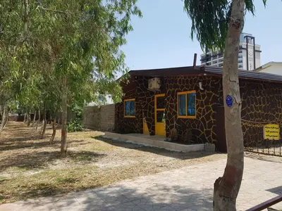 سوئیت یک خوابه زیتون 19