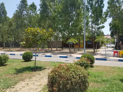 سوئیت یک خوابه زیتون 19