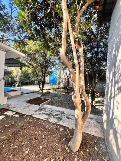 سوئیت فلت قاسمی 1