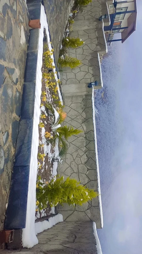 کلبه دوخوابه کاژه ۱