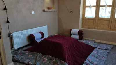 بومگردی فلت کهن بام کنگ واحد نهال