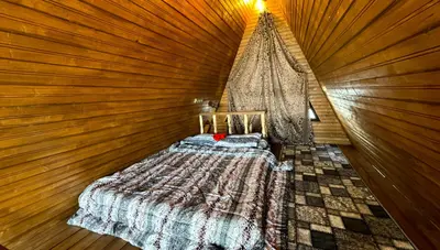 کلبه یک خوابه استخردار آبگرم جنگلی دلبر