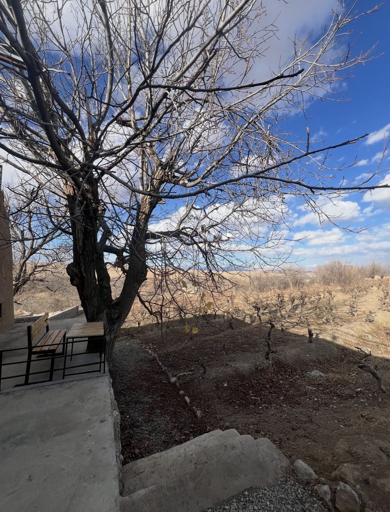 بومگردی دلیبال - درگز