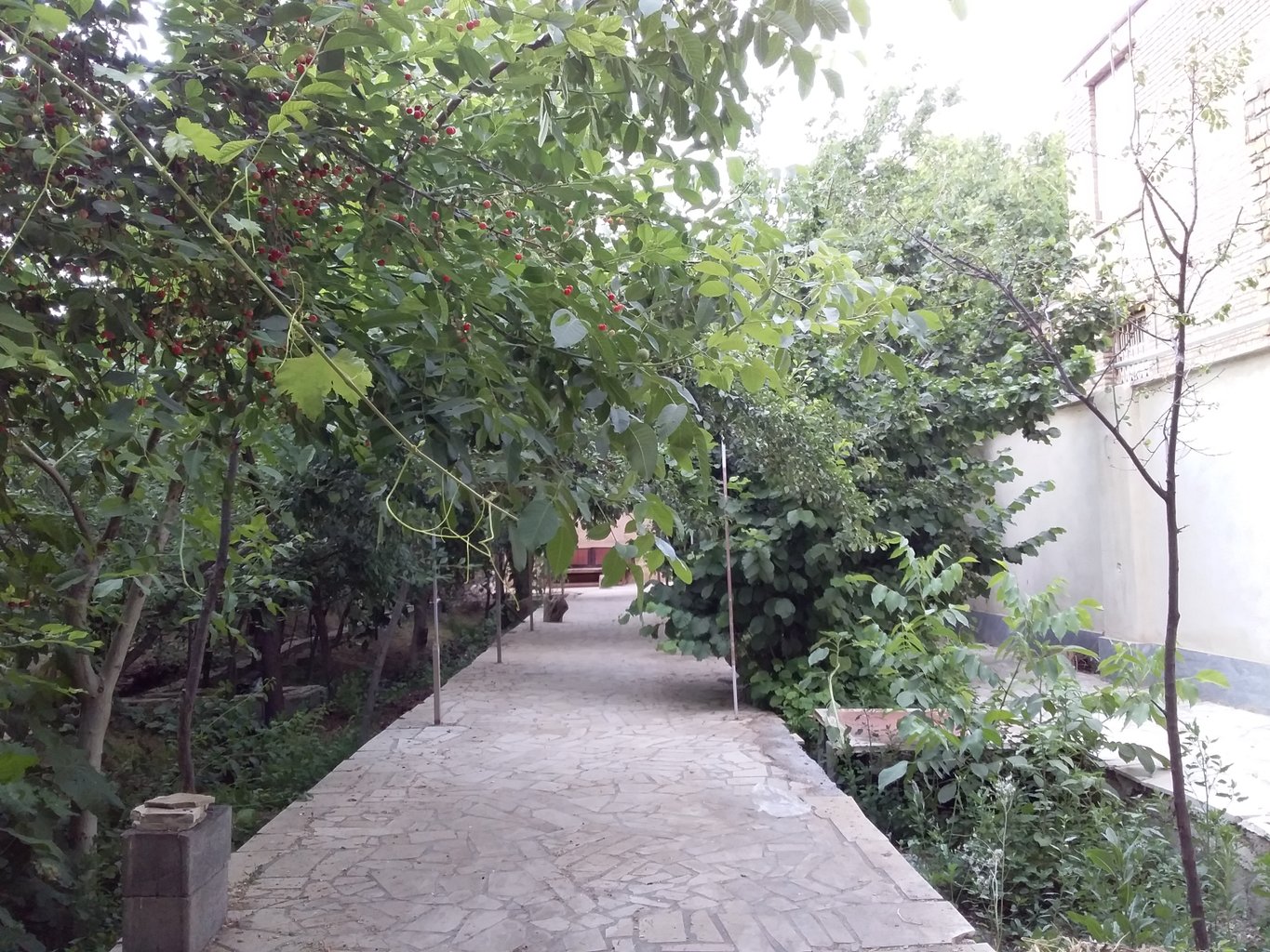 ویلا فلت دارانی