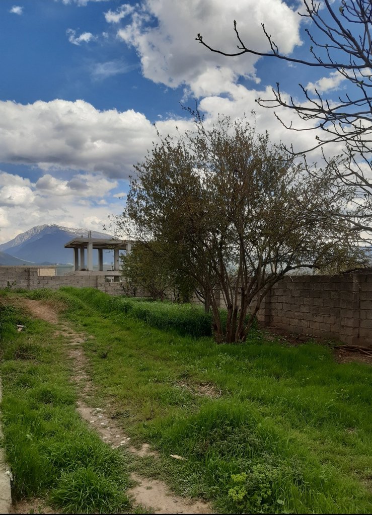 سوئیت فلت بهبودی