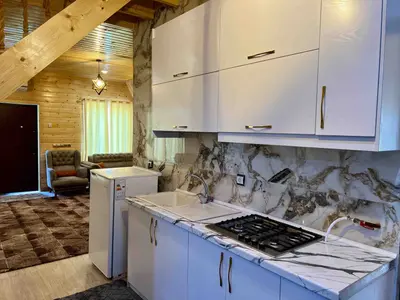 ویلا سه خوابه استخردار سوئیسی توسکا