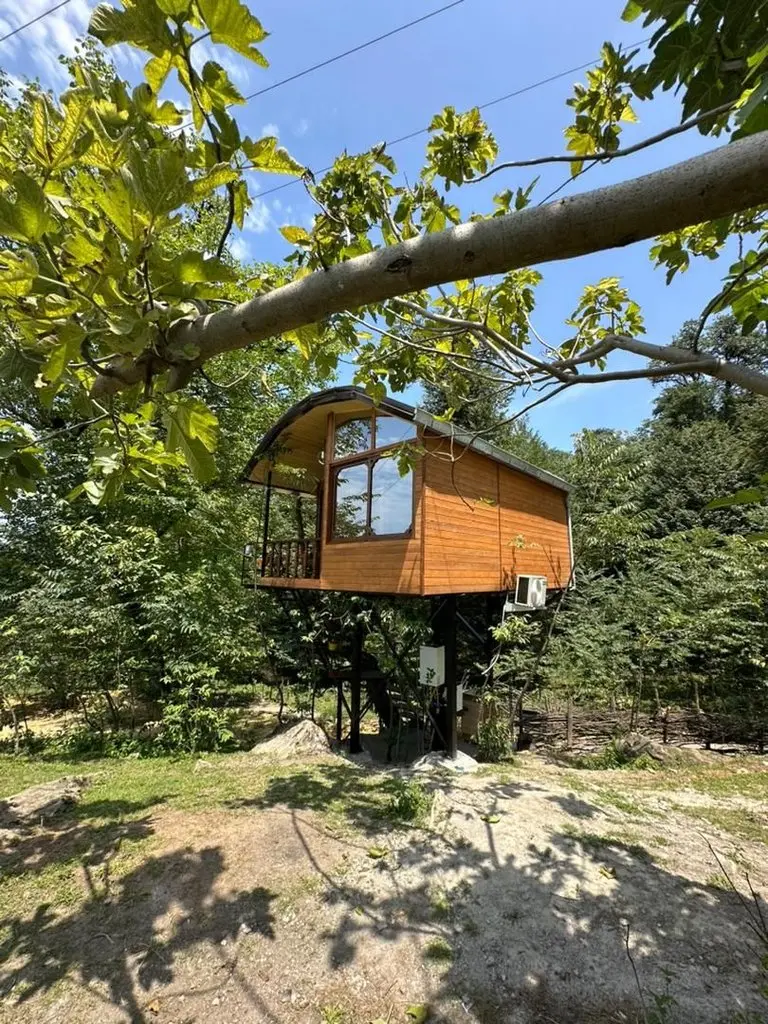 کلبه فلت درختی جکوزی دار داروگ - نمای روبرو