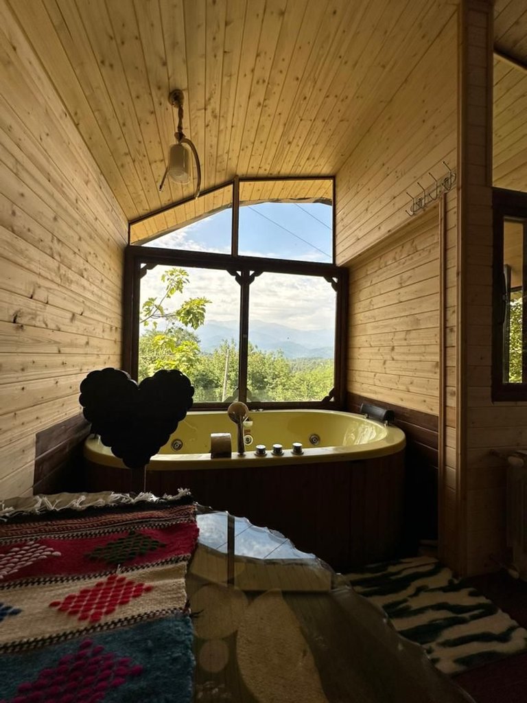 فلت درختی جکوزی دار داروگ