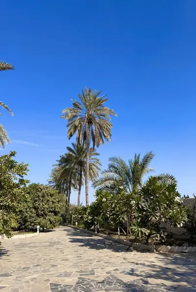 بومگردی گلستان میناب اسلامی - واحد 1