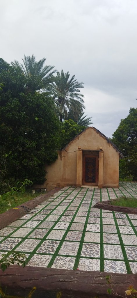 بوم گردی گلستان میناب اسلامی - واحد حجله جنوبی