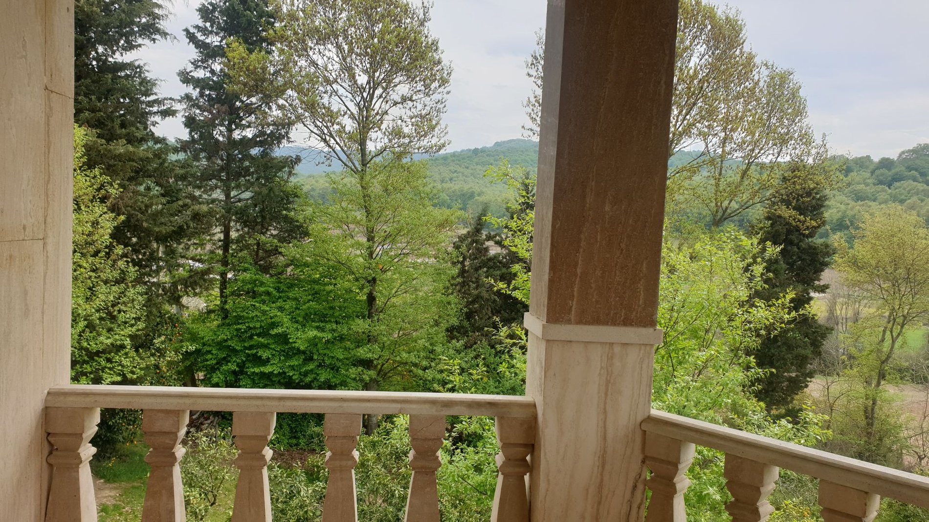 ویلا یک خوابه مله - ویو جنگل از تراس