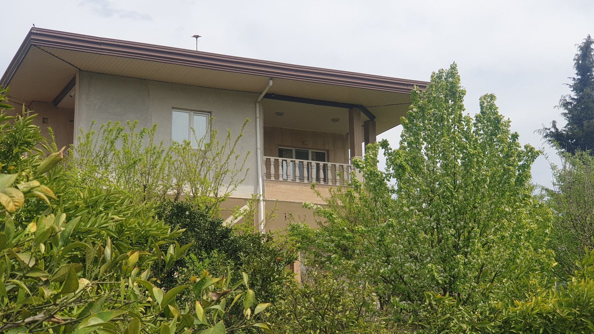 ویلا یک خوابه مله - نمای ساختمان از باغ