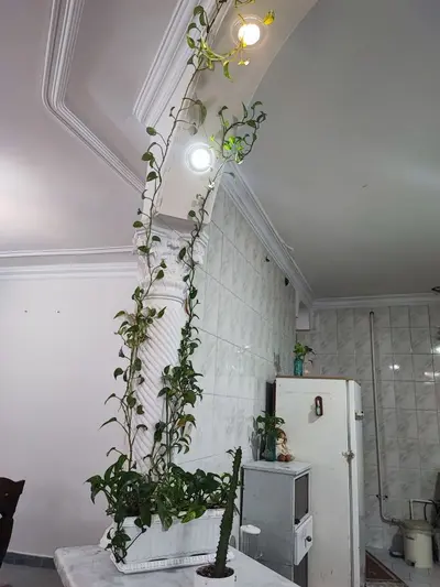 آپارتمان دوخوابه موسوی 5