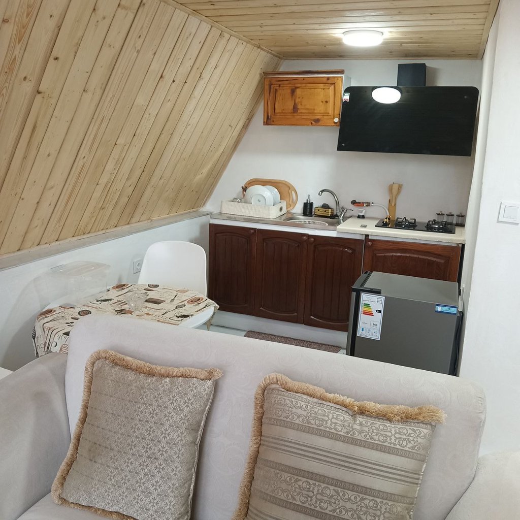 کلبه یک خوابه سوییسی تمشکل