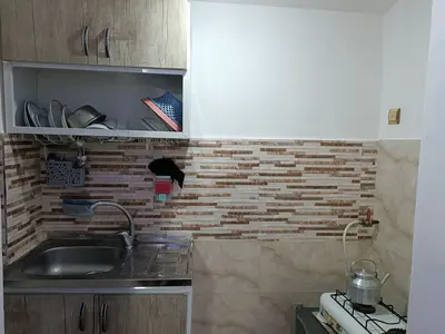 سوئیت فلت جنگلی وطن خواه