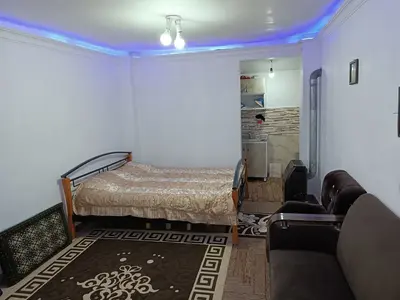 سوئیت فلت جنگلی وطن خواه