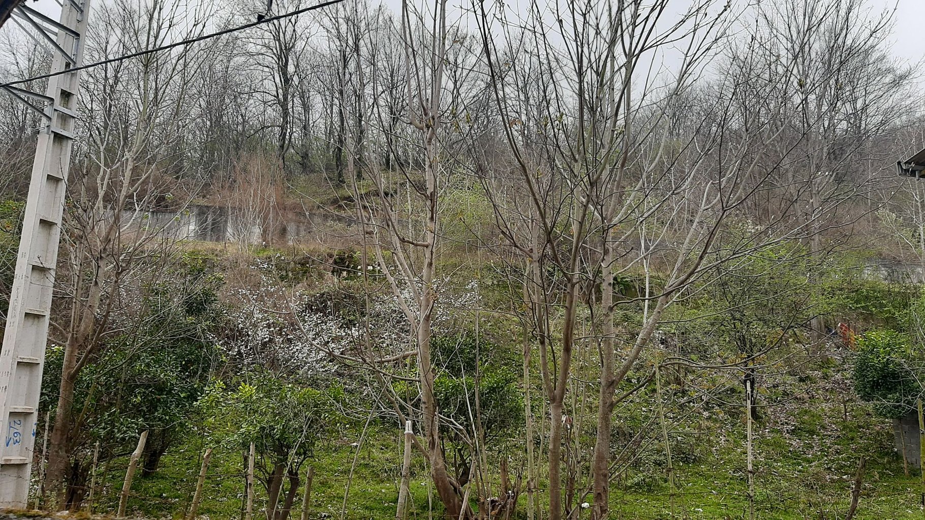 ویلا یک خوابه کرمی 5