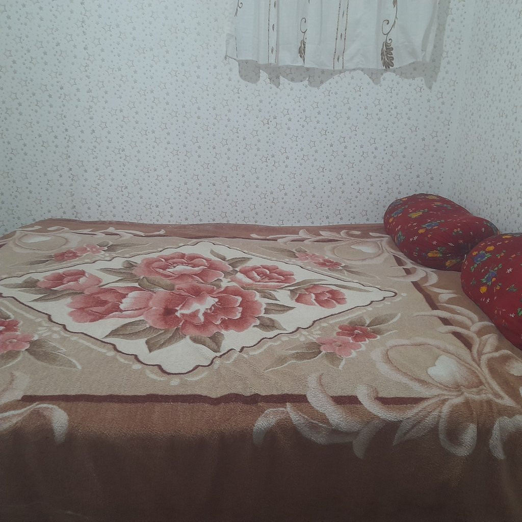 سوئیت یک خوابه برگی نو از زندگی