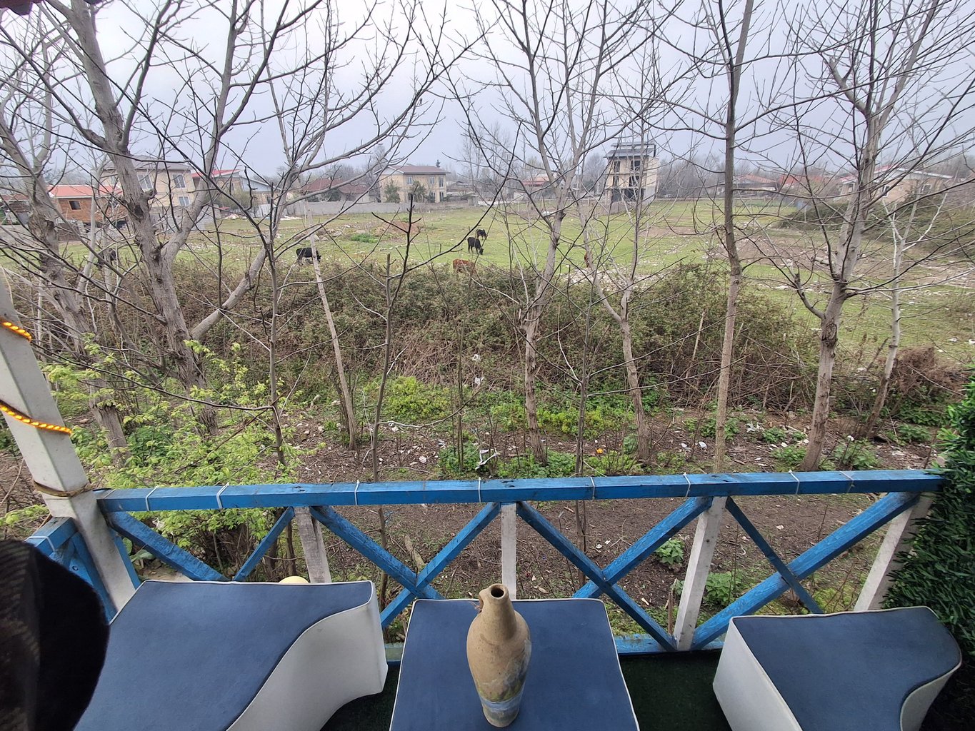 کلبه دوخوابه چوبی آوش