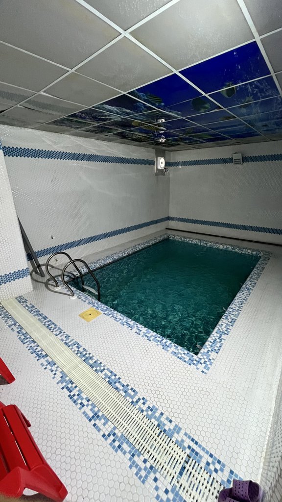 ویلا دوخوابه استخردار آبگرم برکه