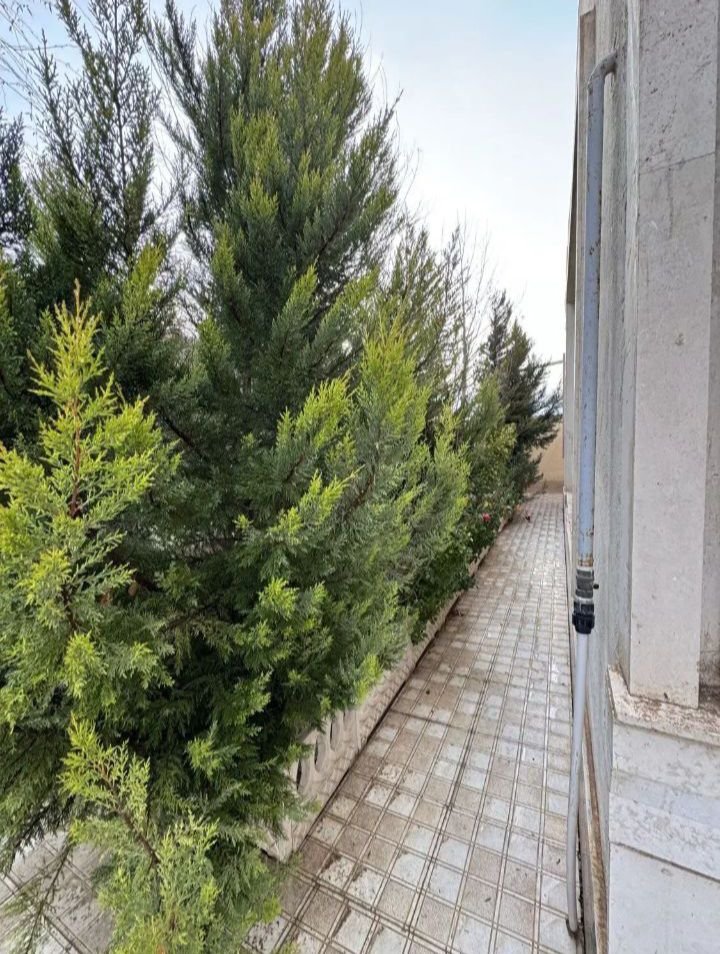 ویلا دوخوابه استخردار آبگرم عمارت کوچولو