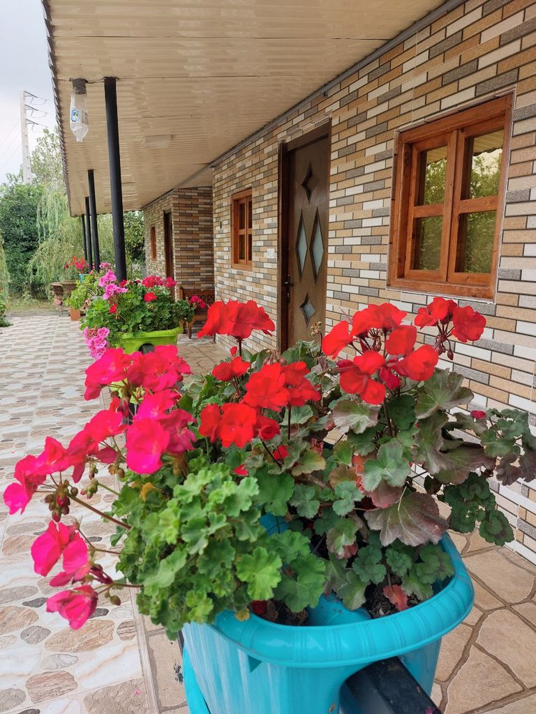 ویلا سه خوابه جکوزی دار نیکان