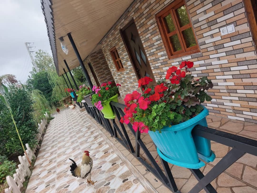 سه خوابه جکوزی دار نیکان