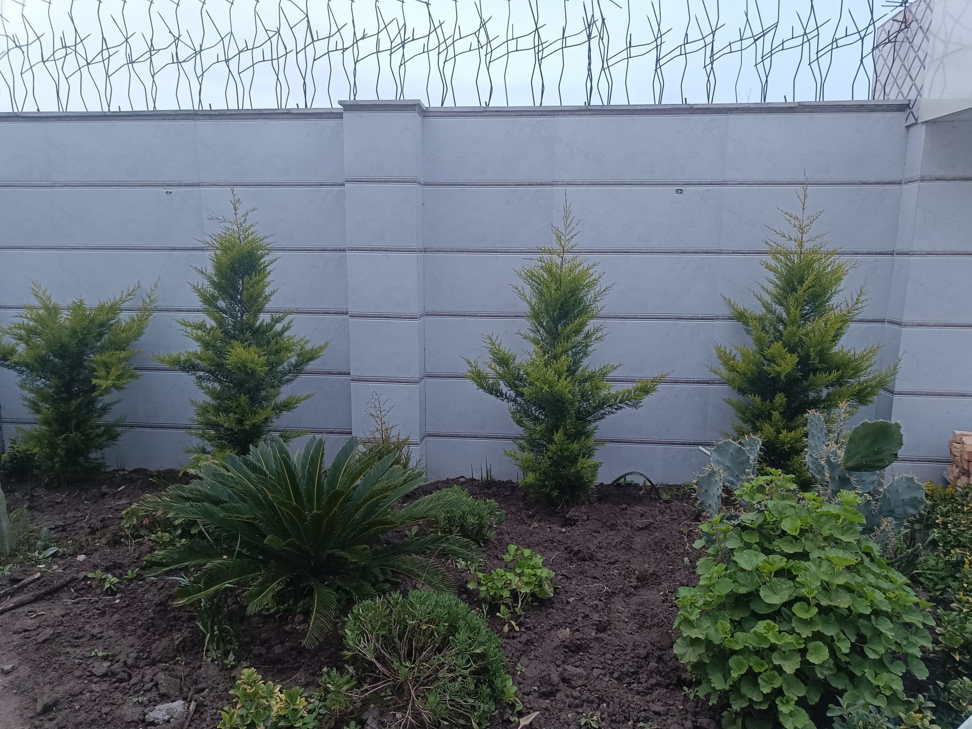 ویلا دوخوابه استخردار آبگرم ماهور 33