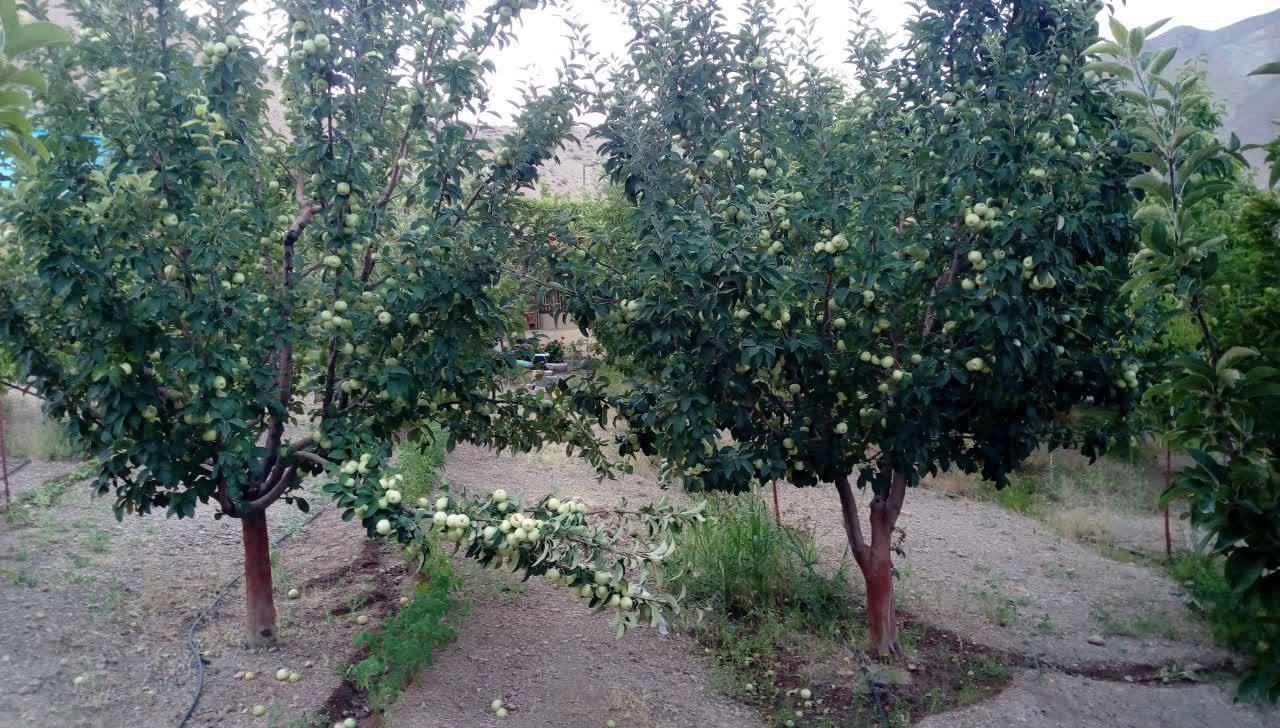 آپارتمان دو خوابه اهورا