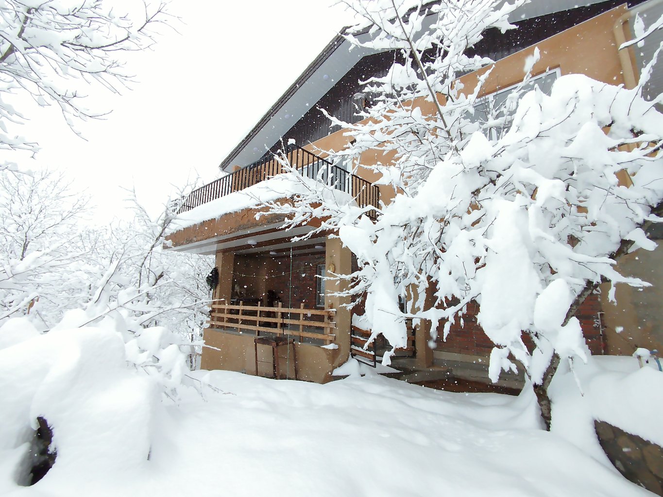 ویلا دوخوابه گردو 6