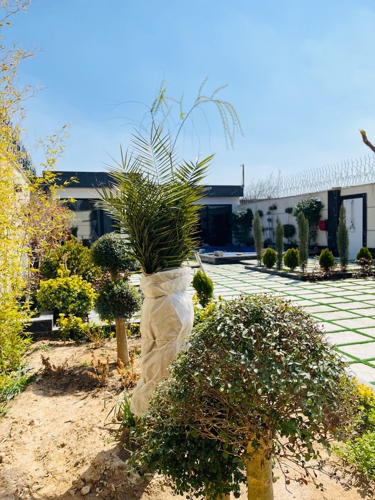 ویلا دوخوابه استخردار آبگرم سیلوانا