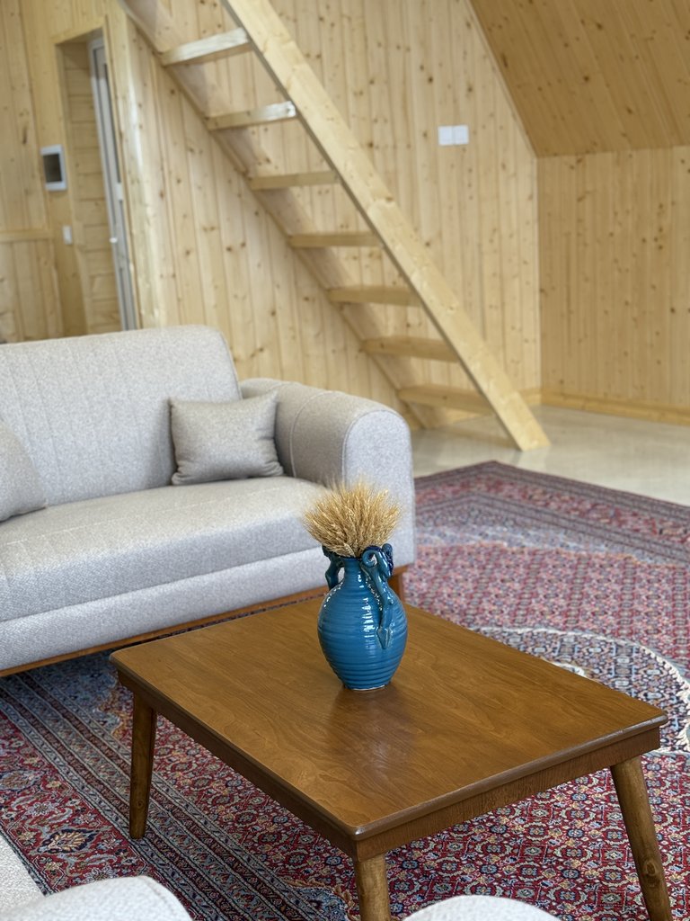 کلبه یک خوابه سوئیسی چِنار