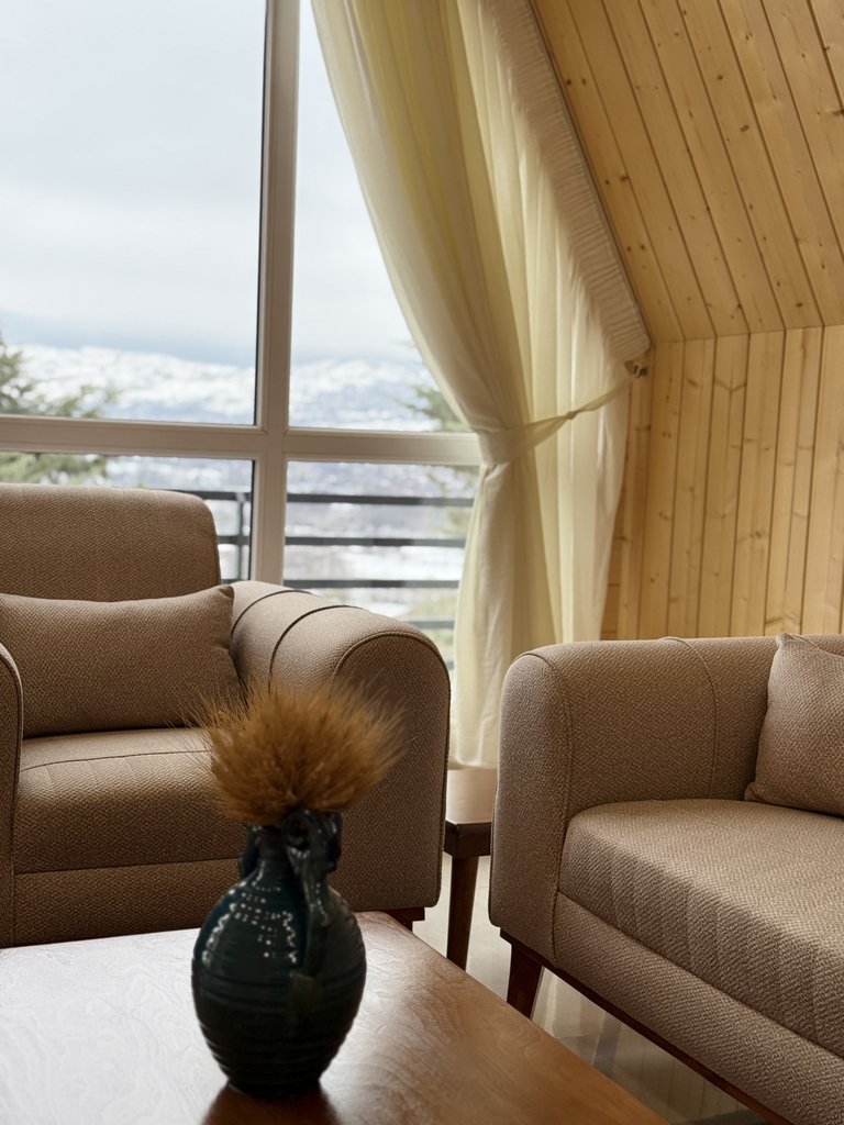 کلبه یک خوابه سوئیسی چِنار