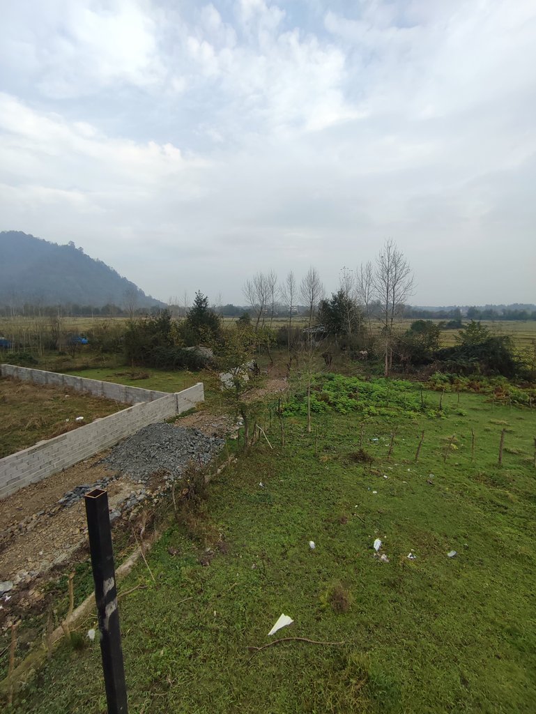 کلبه دوخوابه سوئیسی جنگلی ناصر