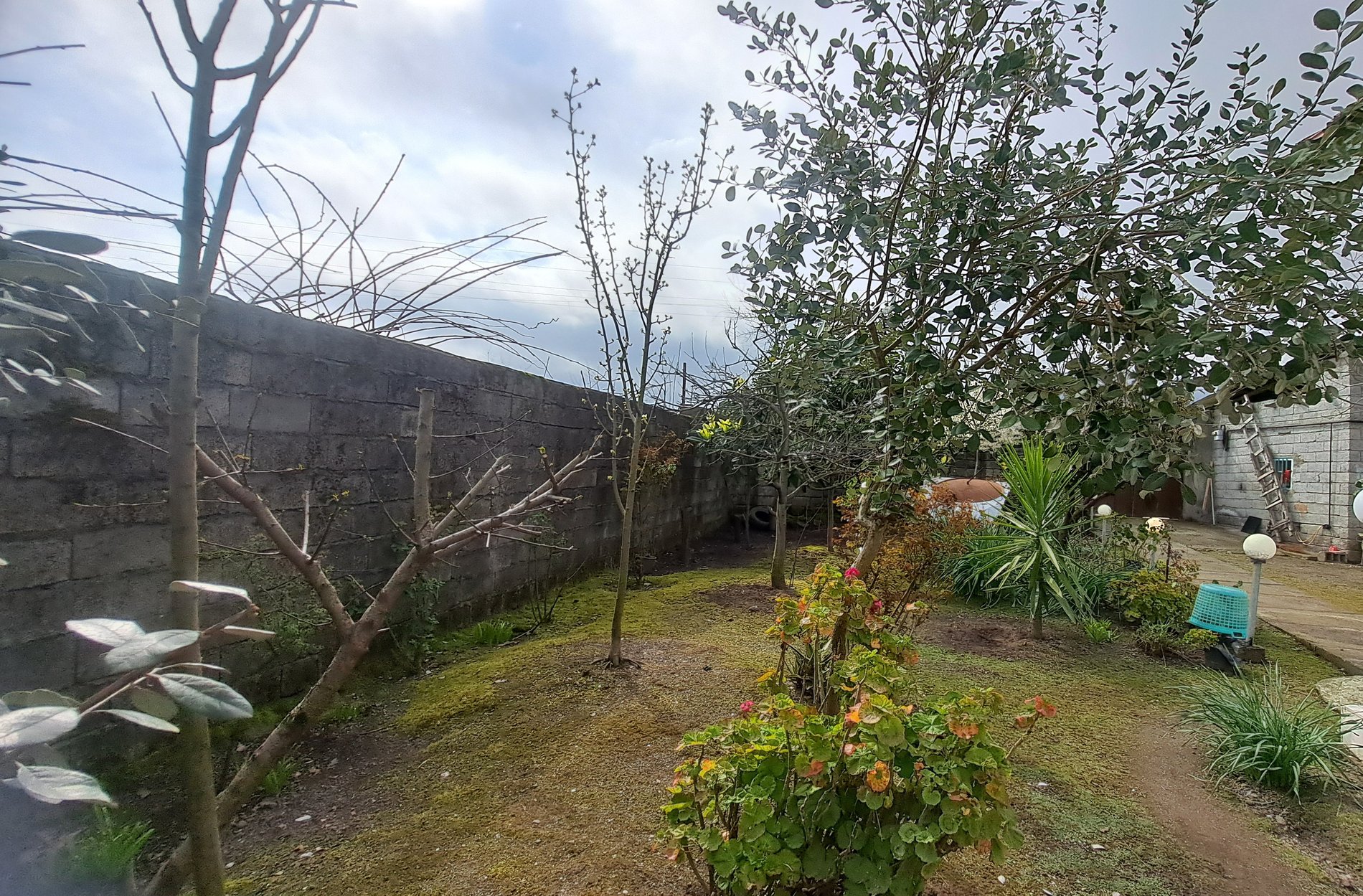 ویلا یک خوابه  حیاط خاطره ها