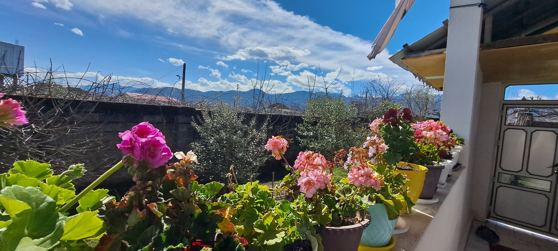 ویلا یک خوابه  حیاط خاطره ها